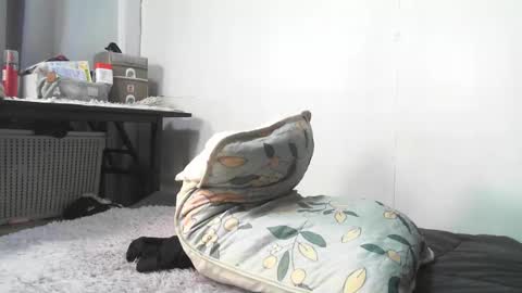 Snapshot of urnightmarets chatting on February 3, 9:03 am Rbabes online show from February 3, 9:03 am