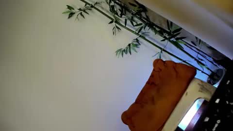 ursashafucker69 online show from December 3, 10:17 am