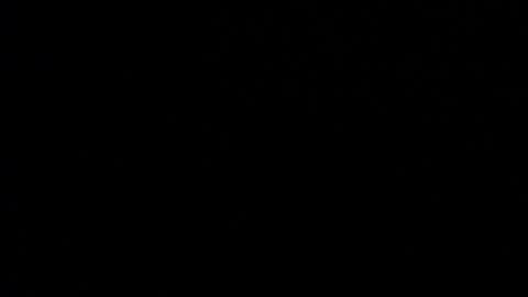 Valen Scott online show from January 15, 11:32 am