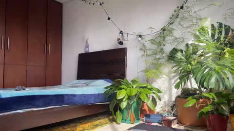   Valentin  independent Cam Boy     online show from February 8, 1:47 pm