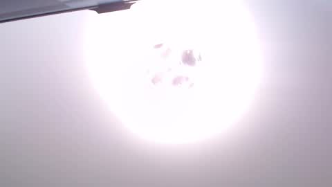 Van online show from December 18, 5:08 pm