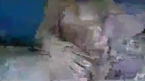 vanhelll online show from December 5, 9:40 am