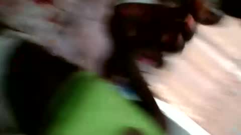 faisar online show from December 19, 8:43 am