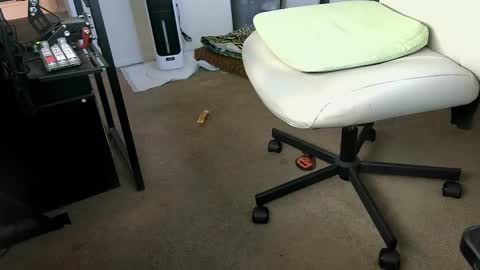 Snapshot of vegasnightowl chatting on October 7, 2:36 pm vegasnightowl online show from October 7, 2:36 pm