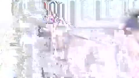 velvet online show from January 10, 8:04 pm