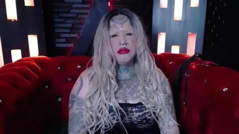 Venus Ink online show from February 19, 12:45 pm