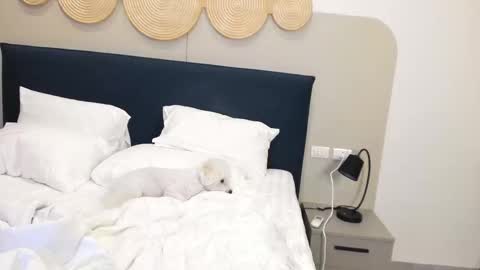 Violetta  online show from November 9, 2:32 am