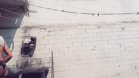 Vero Alva online show from January 30, 5:17 pm