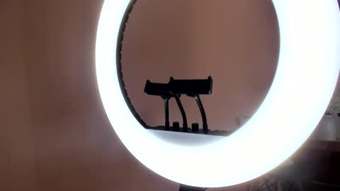 Johovanna online show from January 31, 2:49 pm