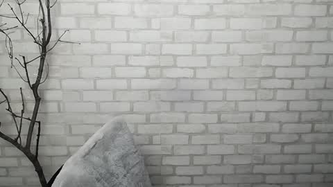 Ana online show from January 23, 2:39 pm