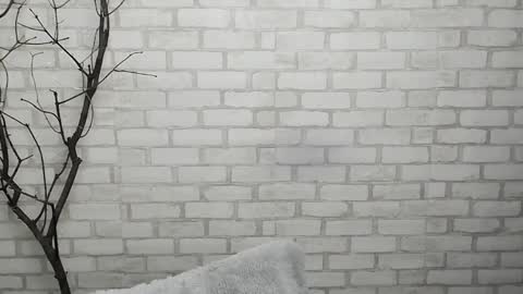 Ana online show from January 28, 12:43 pm