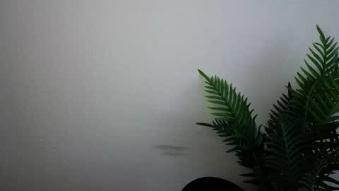 Ana online show from September 30, 12:10 pm