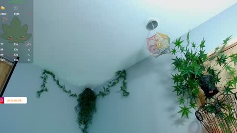 Victoria   online show from January 27, 11:22 pm