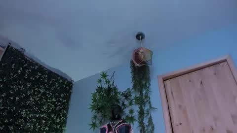 Victoria   online show from March 25, 10:05 pm