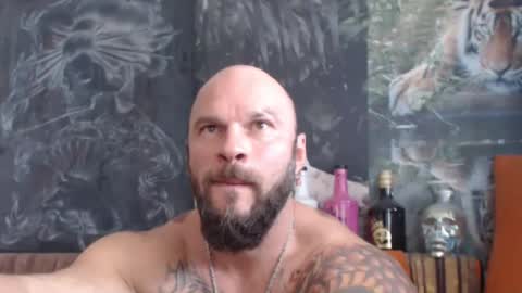 viking online show from September 12, 7:08 am