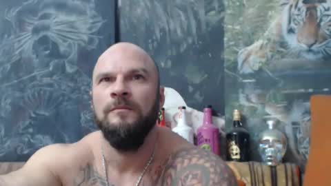 viking online show from October 16, 7:04 pm