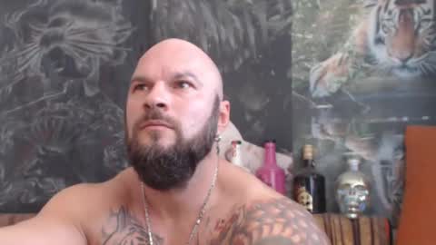 viking online show from November 2, 10:28 am