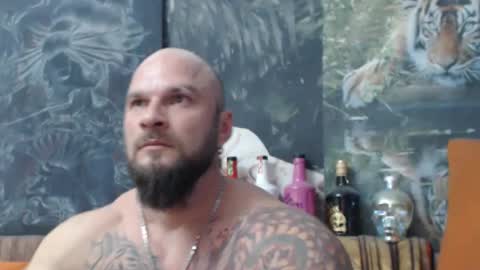 viking online show from November 4, 8:08 pm