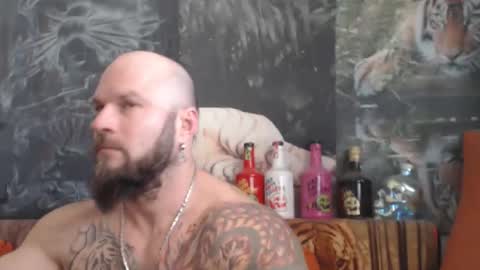 viking online show from December 19, 8:32 am