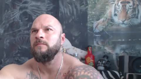 viking online show from April 15, 10:33 am