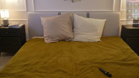 Snapshot of viktoria_storm chatting on February 10, 6:31 am Alisa online show from February 10, 6:31 am