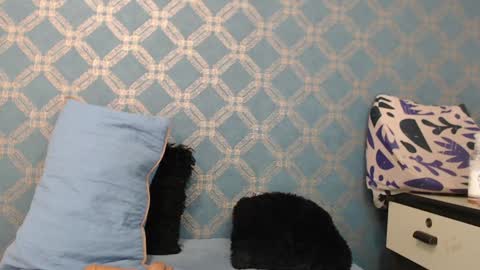 Violeta  online show from December 18, 1:15 am