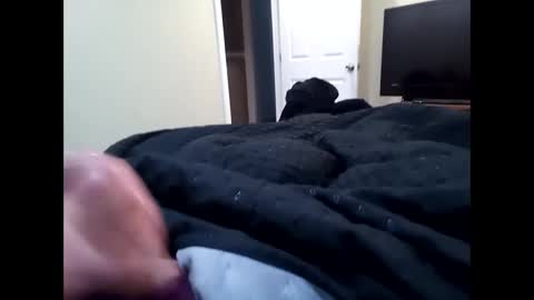 vladedivac1998 online show from September 23, 4:43 pm