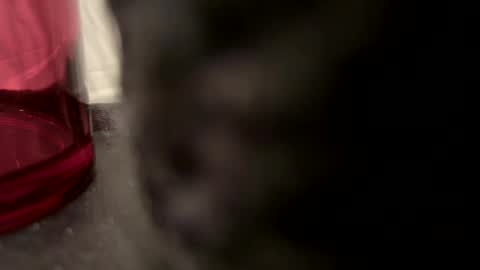 John online show from December 22, 5:21 pm