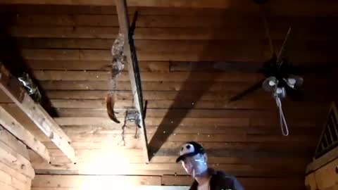 Snapshot of w361525 chatting on June 23, 3:37 am Their he is cool online show from June 23, 3:37 am