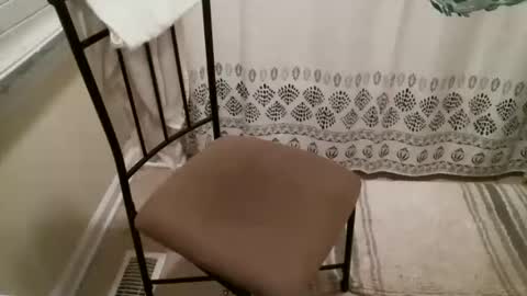 wadiwoc871 online show from January 18, 8:07 am