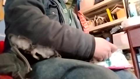 waffywaff77 online show from January 12, 11:58 pm