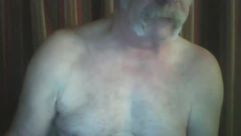 wahassa online show from February 23, 11:00 am