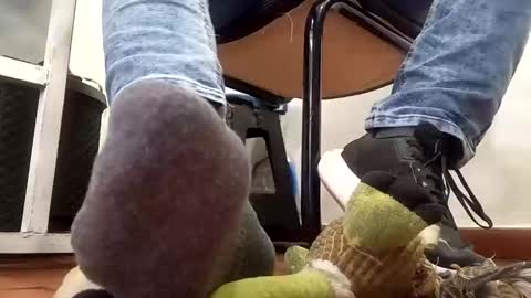 Snapshot of waltherfeet_ chatting on February 10, 6:56 pm WaltherFeet online show from February 10, 6:56 pm