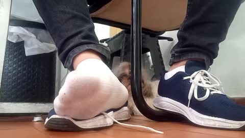 Snapshot of waltherfeet_ chatting on September 8, 4:50 pm WaltherFeet online show from September 8, 4:50 pm