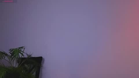 Zara online show from January 12, 8:36 am