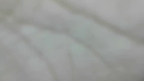 wangi_wangi online show from January 10, 4:31 pm