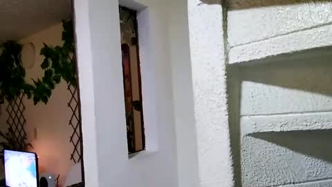 Snapshot of waningrosee chatting on January 4, 2:25 am Waningrose Lu online show from January 4, 2:25 am