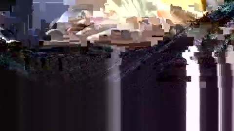 Snapshot of wanttowatch87 chatting on February 12, 3:51 am wanttowatch87 online show from February 12, 3:51 am