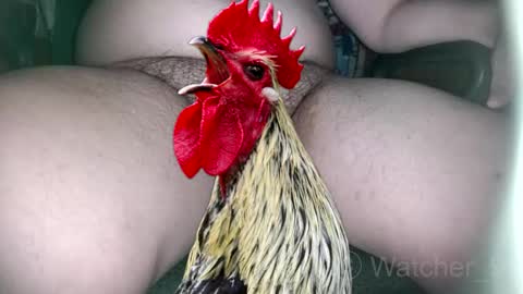 classified online show from November 9, 8:29 pm