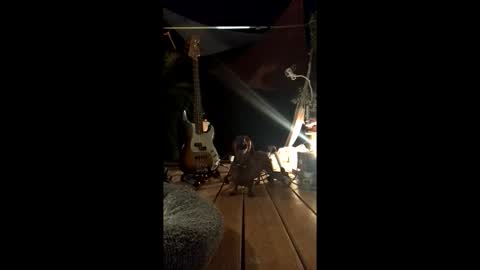 watershed111111 online show from February 19, 3:13 am