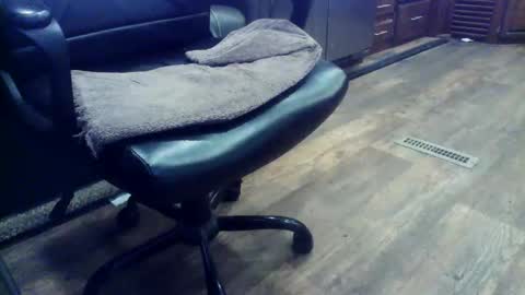 wayne1311 online show from February 3, 6:46 pm