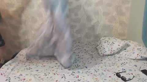 Lia and Artur online show from December 22, 9:28 am