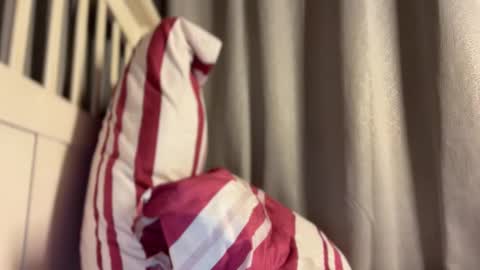 Maggie online show from October 13, 4:07 pm