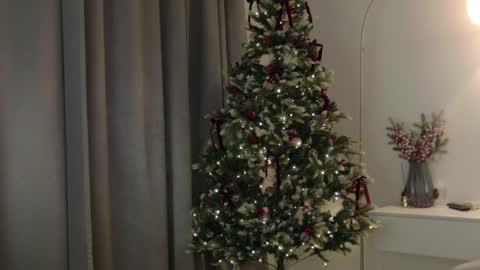 CAREN online show from January 8, 12:47 pm