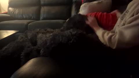 Snapshot of wellocal chatting on December 21, 8:05 pm wellocal online show from December 21, 8:05 pm