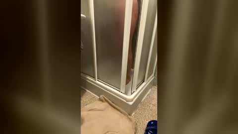 Snapshot of wet___pussy chatting on July 6, 9:39 am wet___pussy online show from July 6, 9:39 am
