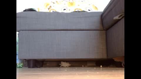 wet_pants2022 online show from March 3, 4:46 pm