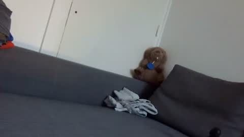 wet_pants2022 online show from September 22, 7:10 am