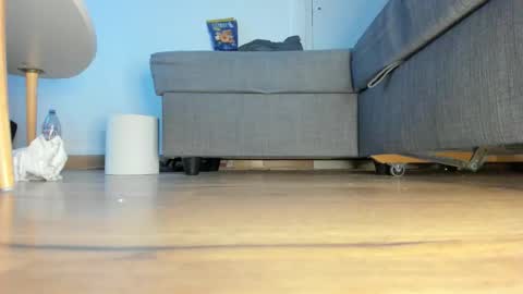 wet_pants2022 online show from February 10, 4:22 pm