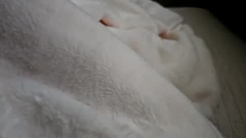 Snapshot of what_whaaat chatting on September 21, 5:03 pm what_whaaat online show from September 21, 5:03 pm